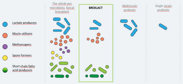 What is Broilact 600X277px.png