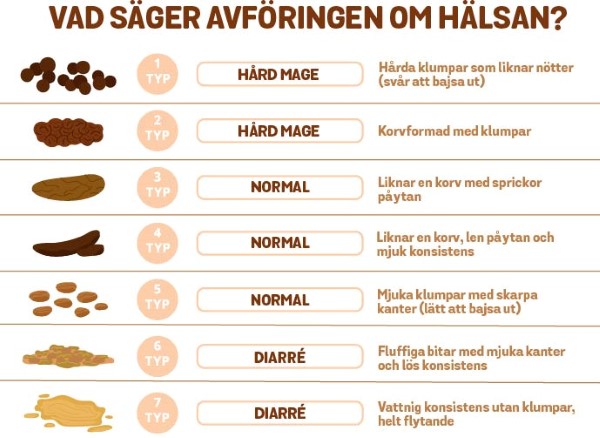 Bristolskala Sverige.jpg